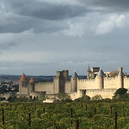 Ferienwohnung Les Orchidees Carcassonne Exterior foto