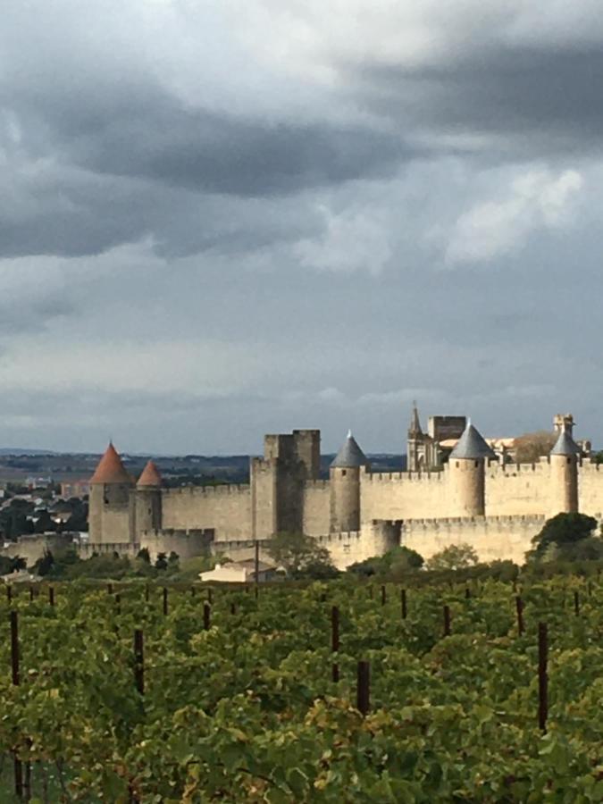 Ferienwohnung Les Orchidees Carcassonne Exterior foto