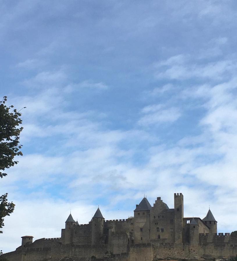 Ferienwohnung Les Orchidees Carcassonne Exterior foto